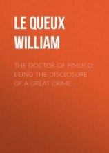 читать The Doctor of Pimlico: Being the Disclosure of a Great Crime