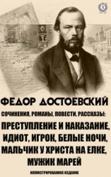 читать Сочинения. Романы, повести и рассказы. Иллюстрированное издание