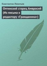 читать Оптинский старец Амвросий (Из письма к редактору «Гражданина»)