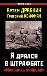 читать Я дрался в штрафбате. «Искупить кровью!»