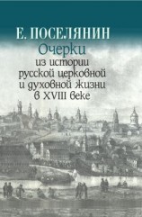 читать Очерки из истории русской церковной и духовной жизни в XVIII веке