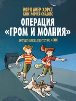 читать Детективное агентство №2. Операция «Гром и молния»