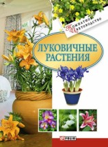 читать Луковичные растения