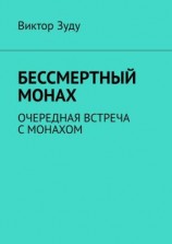 читать Бессмертный монах. Очередная встреча с монахом