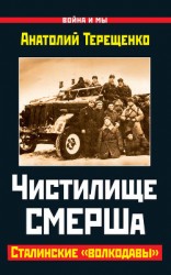 читать Чистилище СМЕРШа. Сталинские «волкодавы»