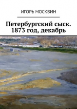 читать Петербургский сыск. 1873 год, декабрь