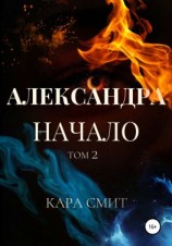 читать Александра. Книга первая. Начало. Том 2