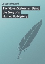 читать The Stolen Statesman: Being the Story of a Hushed Up Mystery