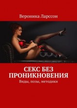 читать Секс без проникновения. Виды, позы, методики