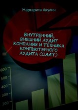 читать Внутренний, внешний аудит компании и техника компьютерного аудита (CAAT)