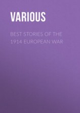 читать Best Stories of the 1914 European War