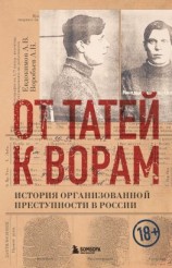 читать От татей к ворам. История организованной преступности в России