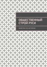 читать Общественный строй Руси. Заметки по истории