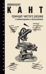 читать Принцип чистого разума. С комментариями и объяснениями