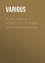 читать In the Saddle: A Collection of Poems on Horseback-Riding