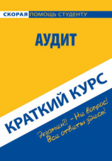 читать Аудит. Краткий курс