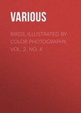 читать Birds, Illustrated by Color Photography, Vol. 2, No. 4