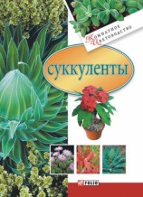 читать Суккуленты