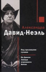 читать Под грозовыми тучами. На Диком Западе огромного Китая