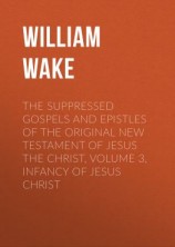 читать The suppressed Gospels and Epistles of the original New Testament of Jesus the Christ, Volume 3, Infancy of Jesus Christ