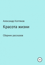 читать Красота жизни. Сборник рассказов