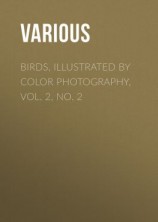 читать Birds, Illustrated by Color Photography, Vol. 2, No. 2