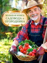 читать Большая книга садовода и огородника