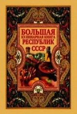 читать Большая кулинарная книга республик СССР