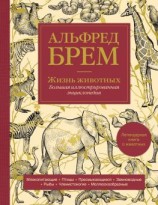 читать Жизнь животных. Большая иллюстрированная энциклопедия