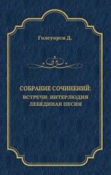 читать Собрание сочинений. Встречи: Интерлюдия. Лебединая песня