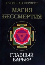 читать Магия бессмертия. Главный барьер