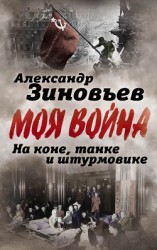 читать На коне, танке и штурмовике. Записки воина-философа