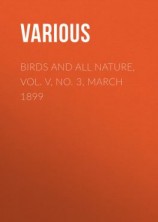 читать Birds and All Nature, Vol. V, No. 3, March 1899