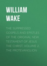 читать The suppressed Gospels and Epistles of the original New Testament of Jesus the Christ, Volume 2, the Protevanglion