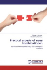 читать Practical aspects of neue kombinationen. Essence of entrepreneurship and settlement relations