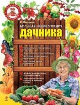 читать Большая энциклопедия дачника