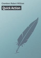 читать Quick Action