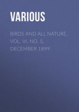 читать Birds and All Nature, Vol. VI, No. 5, December 1899