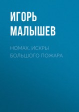 читать Номах. Искры большого пожара