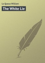 читать The White Lie