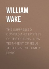 читать The suppressed Gospels and Epistles of the original New Testament of Jesus the Christ, Volume 1, Mary