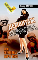 читать Демонтаж патриархата, или Женщины берут верх. Книга для мужчин