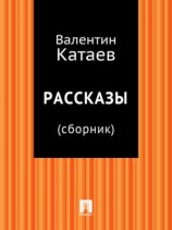 читать Рассказы (сборник)