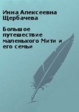 читать Большое путешествие маленького Мити и его семьи