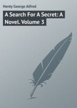 читать A Search For A Secret: A Novel. Volume 3