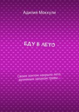 читать Еду в лето