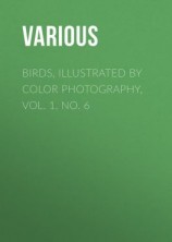 читать Birds, Illustrated by Color Photography, Vol. 1, No. 6