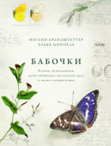 читать Бабочки. Основы систематики, среда обитания, жизненный цикл и магия совершенства