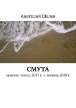 читать Смута. Заметки конца 2017 г.  начала 2018 г.