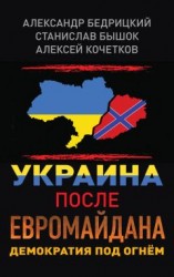 читать Украина после Евромайдана. Демократия под огнём